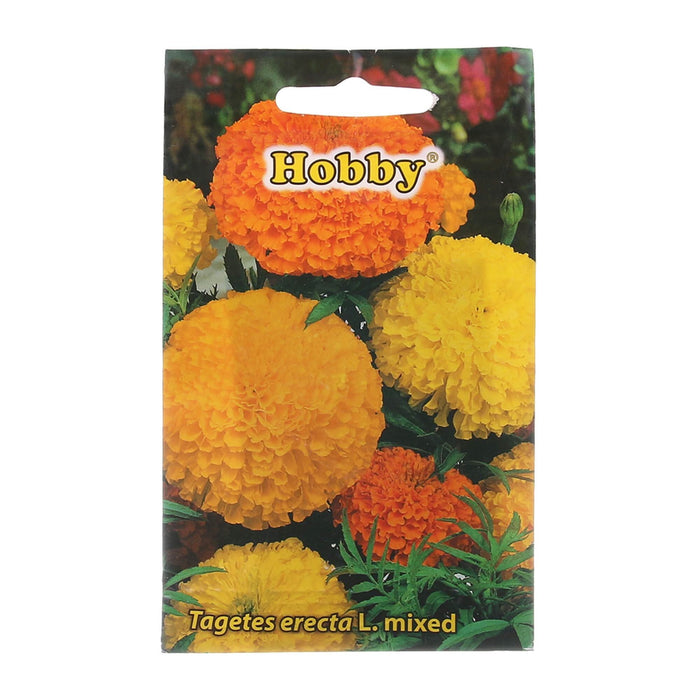 Seminte flori de primavara, craite urias, amestec culori, Hobby, 1 g WALTI