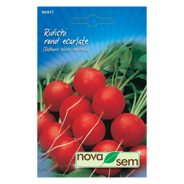 Seminte legume, ridiche rond ecarlate, Novasem WALTI