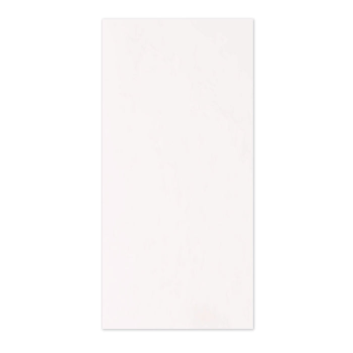 Placa PVC Hobby, 50 x 150 cm, grosime 3 mm, alba WALTI