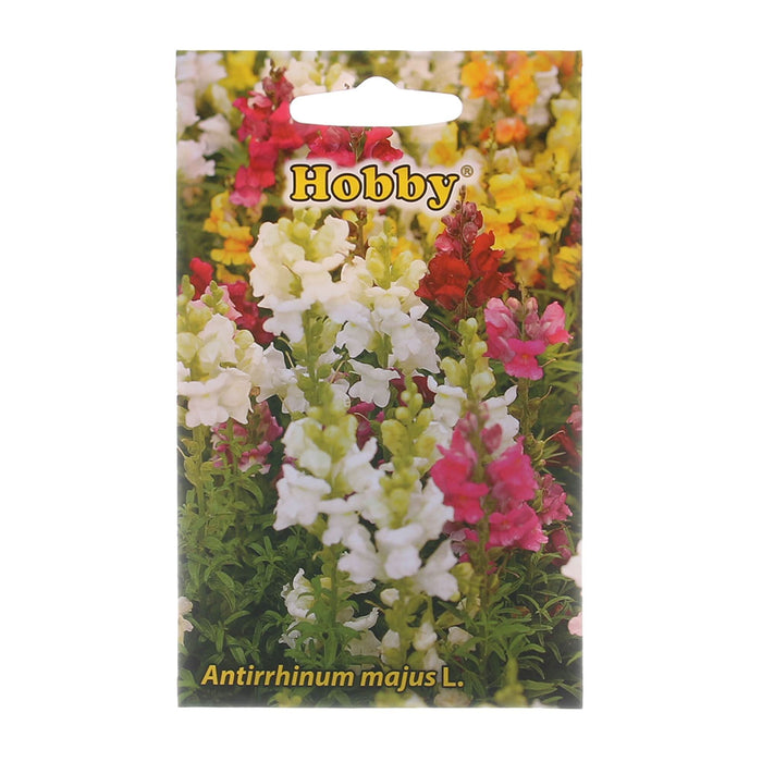 Seminte flori de primavara, gura leului, amestec culori, Hobby, 0.7 g WALTI