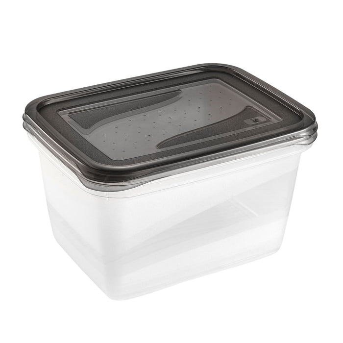 Set 2 caserole cu capac, din plastic, 2 L/buc, 20.5 x 15.5 x 10.5 cm, transparent WALTI