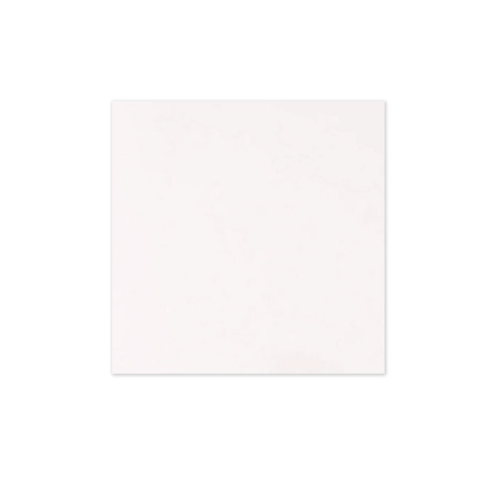 Placa PVC Hobby, 50 x 50 cm, grosime 3 mm, alba WALTI