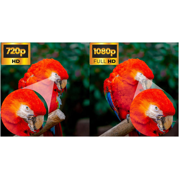 Televizor NEI, 40NE5901, 100 cm, Smart, Full HD - WALTI WALTI