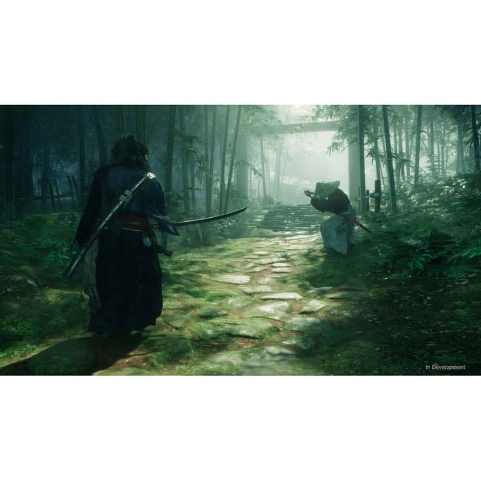 Joc Rise of the Ronin PS5 WALTI
