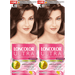 LONCOLOR ULTRA Vopsea de Par Nuanta 4.11 Ciocolata 2 x 100 ml - WALTI WALTI