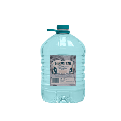BIBORTENI Apa Plata 5 L - WALTI WALTI