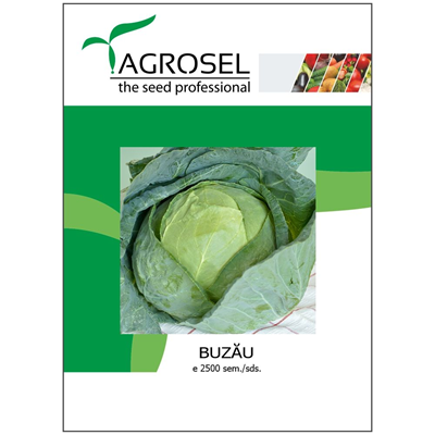 AGROSEL Varză Buzău 2500 seminte - WALTI WALTI