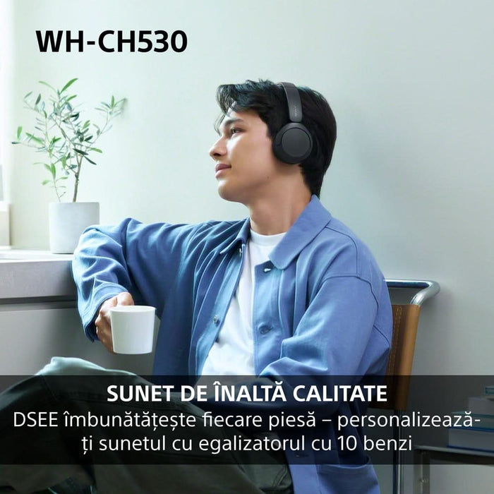 Casti SONY WH-CH530G, Bluetooth, On-Ear, Microfon, Mint WALTI