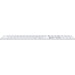 Tastatura Wireless APPLE Magic Keyboard cu Touch ID (2024), USB, Bluetooth, Layout INT English, alb - WALTI WALTI