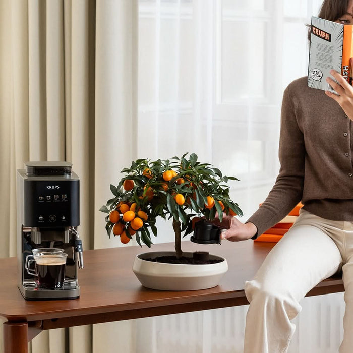 Espressor semi-automat KRUPS Coffee Crush Experience SA403BE0, 1.8l, 1350W, 15 bar, bej-negru WALTI
