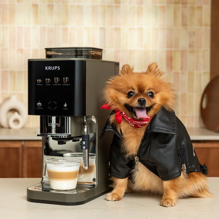 Espressor semi-automat KRUPS Coffee Crush Experience SA403BE0, 1.8l, 1350W, 15 bar, bej-negru WALTI