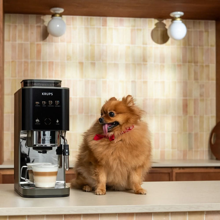 Espressor semi-automat KRUPS Coffee Crush Experience SA403BE0, 1.8l, 1350W, 15 bar, bej-negru WALTI