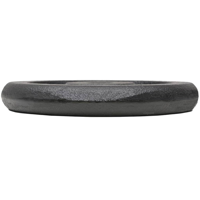 Plăci de greutate, 4 buc., 2x10 kg+2x5 kg, fontă - WALTI WALTI