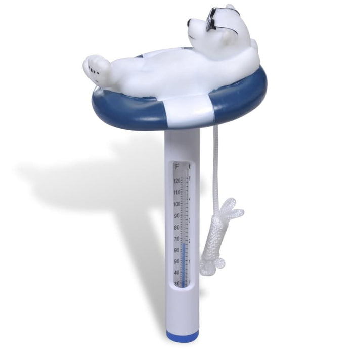 Set pentru Curăţat Piscina - WALTI WALTI