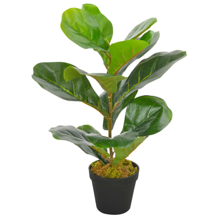 Plantă artificială ficus cu ghiveci, verde, 45 cm - WALTI WALTI