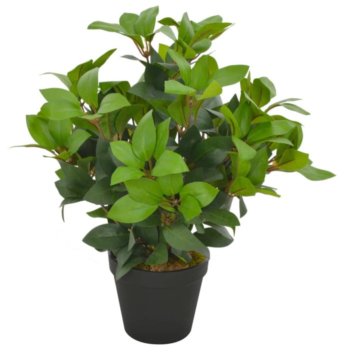 Plantă artificială dafin cu ghiveci, verde, 40 cm - WALTI WALTI