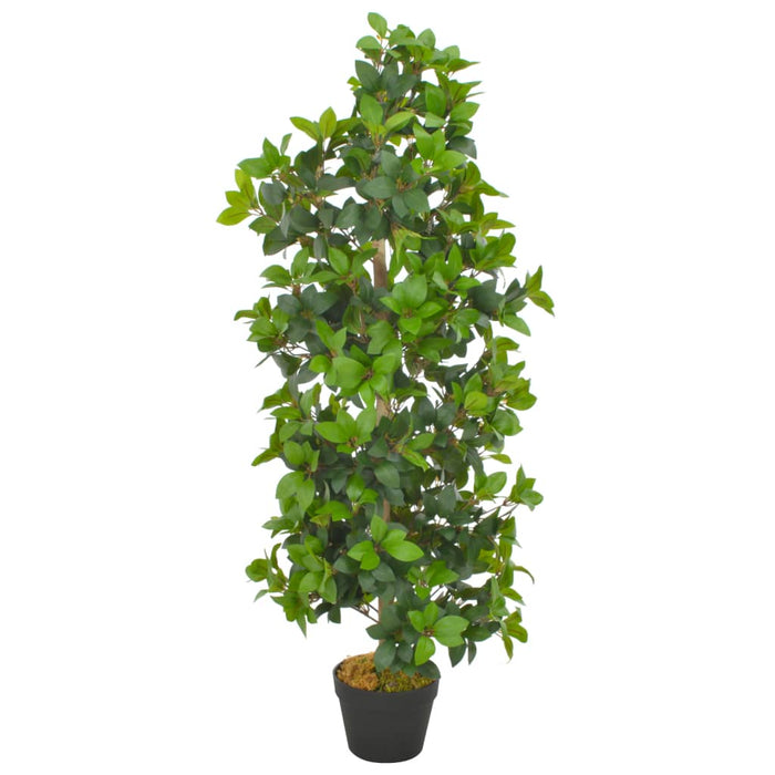 Plantă artificială dafin cu ghiveci, verde, 120 cm - WALTI WALTI