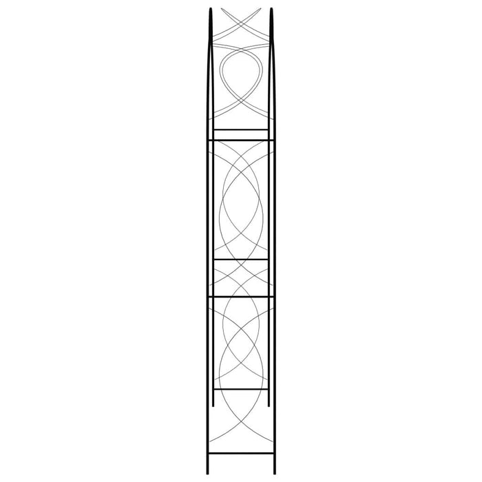 Arcadă de grădină, negru, 150 x 34 x 240 cm, fier - WALTI WALTI