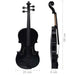 Set complet vioară cu arcuș și suport bărbie, negru 4/4 - WALTI WALTI