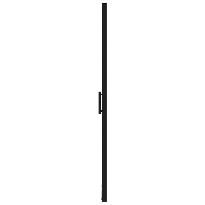 Ușă de duș, negru, 100 x 178 cm, sticlă securizată - WALTI WALTI