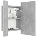 Dulap de baie cu oglindă & LED, gri beton, 40x12x45 cm acril - WALTI WALTI
