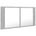 Dulap de baie cu oglindă & LED, gri beton, 90x12x45 cm acril - WALTI WALTI