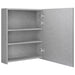Dulap de baie cu oglindă și LED, gri beton, 50x14x60 cm - WALTI WALTI