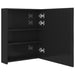 Dulap de baie cu oglindă și LED, negru strălucitor, 50x14x60 cm - WALTI WALTI