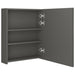 Dulap de baie cu oglindă și LED, antracit, 50x14x60 cm - WALTI WALTI