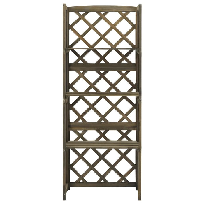 Spalier cu rafturi, gri, 55x30x140 cm, lemn masiv brad - WALTI WALTI