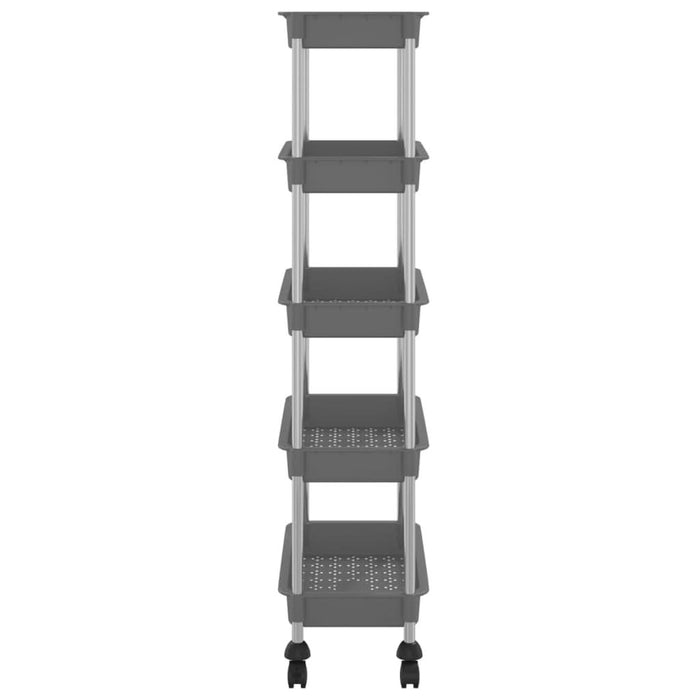 Cărucior de bucătărie 5 niveluri gri 42x29x128 cm fier și ABS - WALTI WALTI