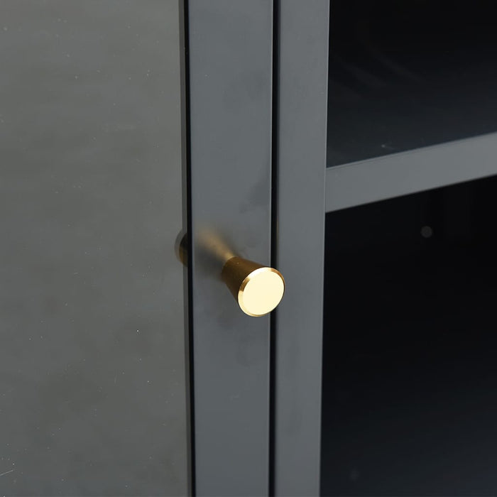 Dulap TV, antracit, 105x35x52 cm, oțel și sticlă - WALTI WALTI