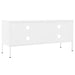 Comodă TV, alb, 105x35x50 cm, oțel - WALTI WALTI