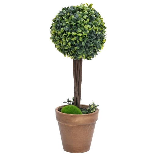 Plante artificiale cimișir cu ghiveci 2 buc. verde 56 cm minge - WALTI WALTI