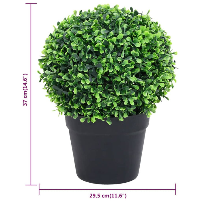 Plante artificiale cimișir cu ghiveci, 2 buc. verde 37 cm minge - WALTI WALTI