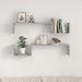 Rafturi de perete, 2 buc, gri beton, 100x15x20 cm, PAL - WALTI WALTI