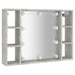 Dulap cu oglindă și LED, gri beton, 76x15x55 cm - WALTI WALTI