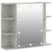Dulap cu oglindă și LED, gri beton, 70x16,5x60 cm - WALTI WALTI