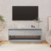 812973 vidaXL TV Cabinet Grey Sonoma 102x41x44 cm Chipboard - WALTI WALTI