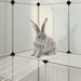 Cușcă pentru animale mici transparent 143x107x93 cm PP și oțel - WALTI WALTI
