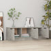 Comodă TV, gri beton, 102x35x36,5 cm, lemn prelucrat - WALTI WALTI