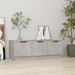 Comodă TV, gri beton, 102x35x36,5 cm, lemn prelucrat - WALTI WALTI