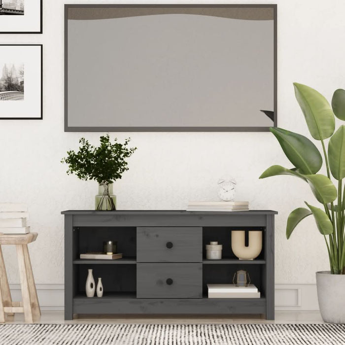 Comodă TV, gri, 103x36,5x52 cm, lemn masiv de pin - WALTI WALTI