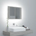 Dulap cu oglindă & LED gri sonoma 60x12x45 cm lemn compozit - WALTI WALTI