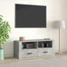 Comodă TV, gri beton, 100x35x40 cm, lemn prelucrat - WALTI WALTI