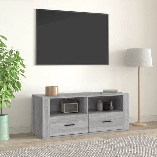 Comodă TV, gri sonoma, 100x35x40 cm, lemn prelucrat - WALTI WALTI