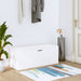 Pantofar de perete, alb, 100x35x38 cm, lemn compozit - WALTI WALTI