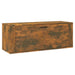Pantofar de perete, stejar fumuriu, 100x35x38 cm lemn prelucrat - WALTI WALTI