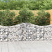 Coșuri gabion arcuite 5 buc, 200x30x80/100cm, fier galvanizat - WALTI WALTI