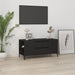 Comodă TV, negru, 102x44,5x50 cm, lemn prelucrat - WALTI WALTI